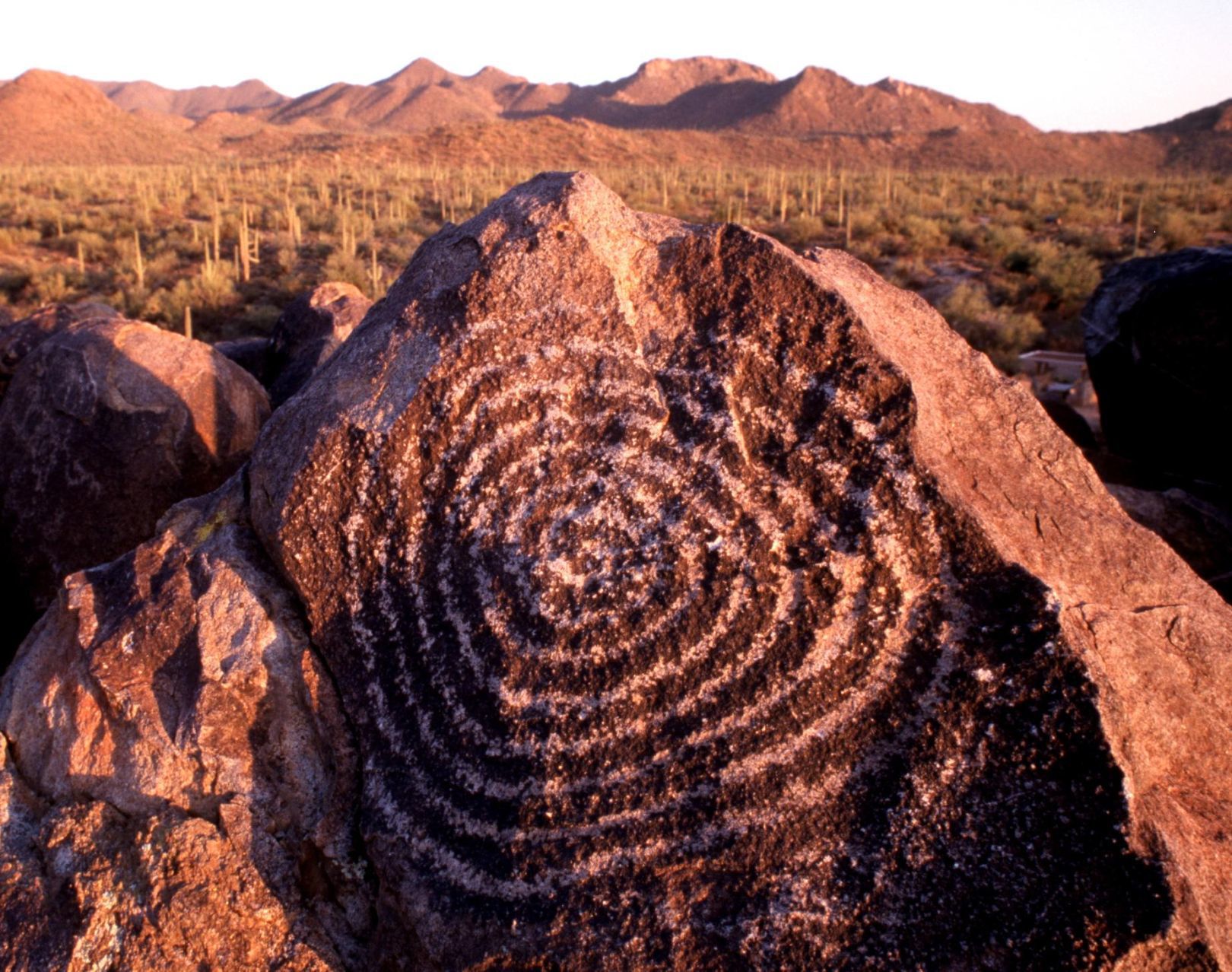 Spiral petroglyph at Signal Hill